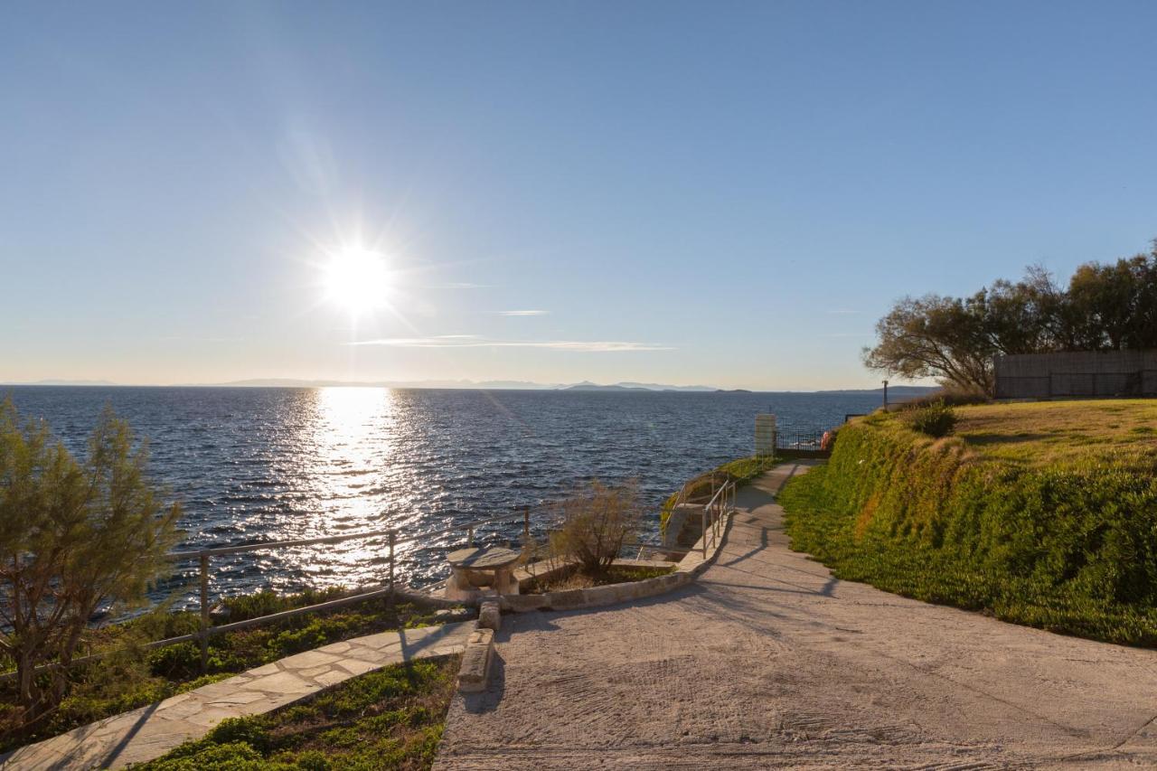Luxurious Villa Philoxenia Lagonisi Exteriör bild